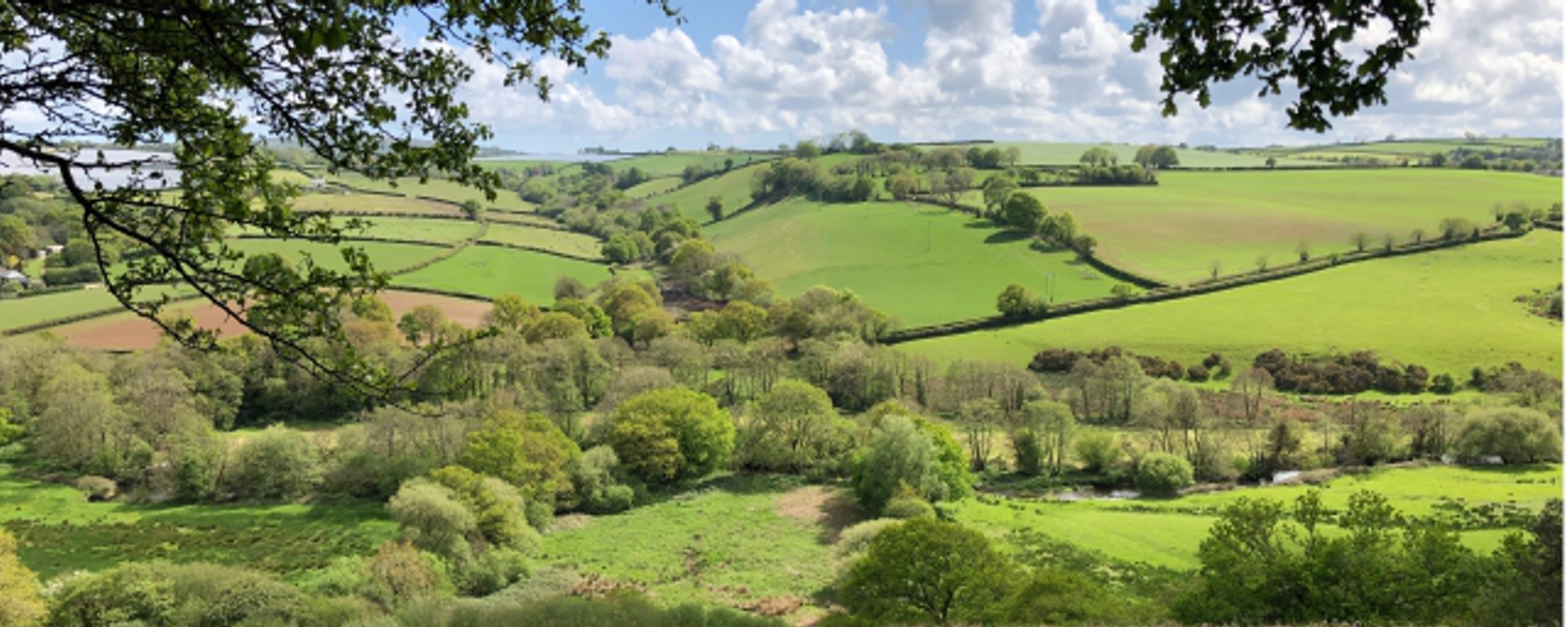 View from Rezare Across the Tamar Valley